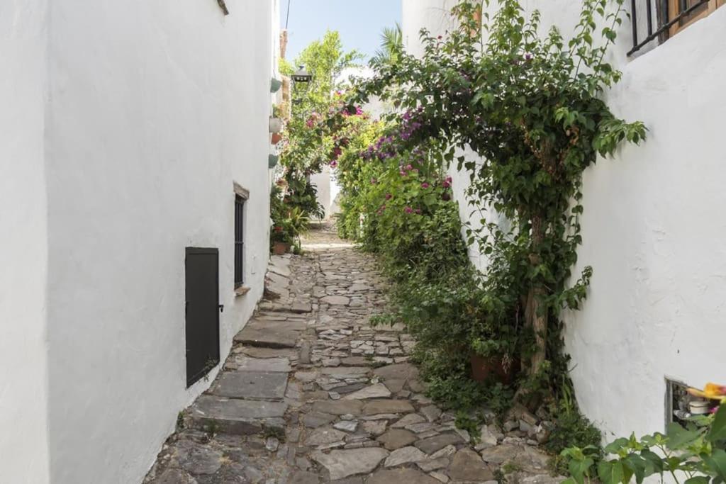 Tranquilo Y Comodo Apartamento En Vejer De La Frontera Exterior photo